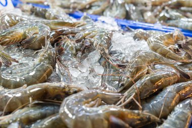 Deniz ürünleri pazarındaki buz tezgahında sergilenen taze karideslerin yakın çekimi tazelik ve karideslerin kalitesini gösteriyor, Phuket, Thiland. Tayland gıda pazarı.