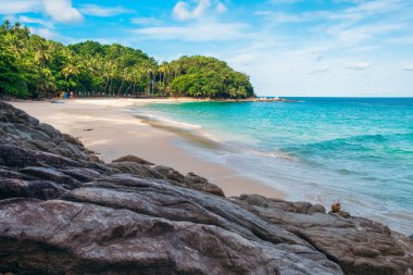 Turkuaz suları, kumlu kıyıları, palmiye ağaçları, kayaları ve yeşil yaprakları olan tropik bir sahil. Parlak mavi gökyüzünün altında kimse yok. Tayland, Phuket Adası 'ndaki özgürlük plajı. Asya 'da yaz tatili.