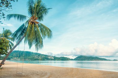 Hindistan cevizi palmiyeli tropik kumlu plaj ve Tayland 'daki Phuket Adası' nda kimse olmadan salıncak. Patong Sahili, Tayland. Asya 'da popüler seyahat ve turistik durak.