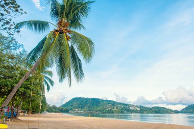 Hindistan cevizi palmiyeli tropik kumlu plaj ve Tayland 'daki Phuket Adası' nda kimse olmadan salıncak. Patong Sahili, Tayland. Asya 'da popüler seyahat ve turistik durak.