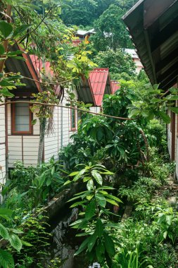 Tayland 'daki Phi Phi Adası' nda su kanalı, yemyeşil yeşillik ve bitkilerle dolu tropikal tatil köylerindeki ahşap kulübeler. Konforlu bungalovları olan tropik bir bahçe. Dikey yönelim. Sürdürülebilir için eko-localar