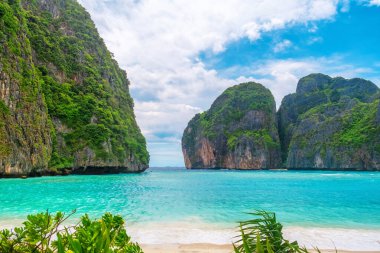 Phi Phi Adaları, Krabi, Tayland 'da turkuaz su okyanusu olan tropik kumlu Maya Koyu. Uçurum kayaları ve yemyeşil yemyeşil olan boş bir sahil. Asya 'da seyahat ve turizm.