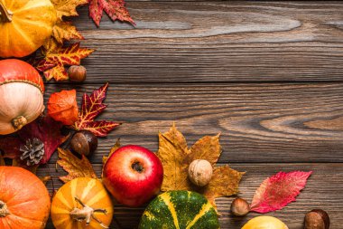 Şükran Günü sonbahar arka planı. Kabaklar, elmalar, kurumuş yapraklar, çiçekler, fındıklar, kırsal ahşap arka planda kestaneler. Düz yatıyordu. Sonbahar hasat kutlaması. Kopyalama alanı olan üst görünüm.