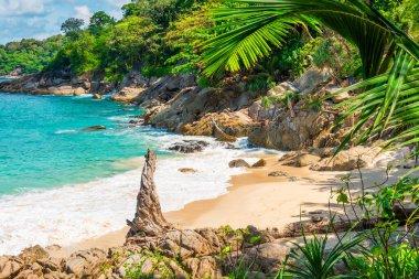 Turkuaz suları, kumlu kıyıları, palmiye ağaçları, kayaları ve yeşil yaprakları olan tropik bir sahil. Parlak mavi gökyüzünün altında kimse yok. Tayland, Phuket Adası 'ndaki özgürlük plajı. Asya 'da yaz tatili.