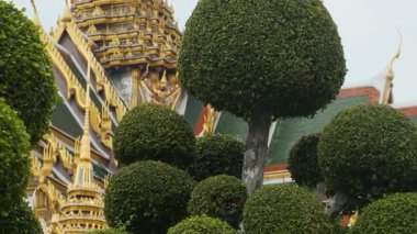 Chakri Maha Prasat Salonu ve Bangkok şehrinde geleneksel Tayland mimarisi Tayland, Asya ile yeşil bahçesi olan Kraliyet Sarayı. Popüler seyahat simgesi .