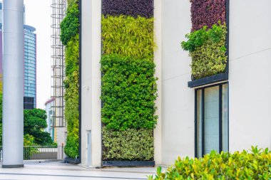 Çağdaş şehir binasının dış duvarlarında renkli yeşil bitkilerle modern dikey bahçe. Bangkok 'taki alışveriş merkezine entegre edilmiş yeşil tesisli duvarlar.