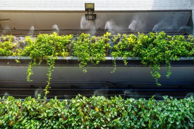 Dikey bahçe ve etkin otomatik sis sistemi bina duvarına sulama ve soğutma sağlıyor, yemyeşil sarmaşıklar ve modern çevre dostu tasarım sergiliyor. Sürdürülebilir tasarım ve işlevsel