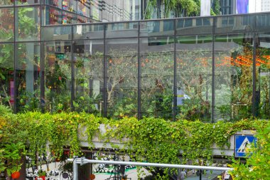 Çok katmanlı yeşil kentsel alan, cam duvarlı bahçe, şehir caddesinin üzerine dikilmiş balkon dikey şehir manzarası içinde, Bangkok, Tayland. Yeşil şehir ve