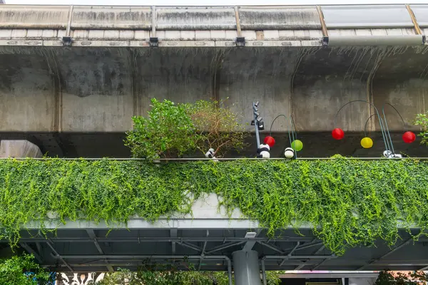 Şehir çevresindeki Bangkok, Tayland 'da beton demiryolu altında yeşil salkım, panda süslemeleri ve renkli fenerlerle dolu şehir geçidi. Yeşil şehir ve ıslah. Gökyüzü bahçesi