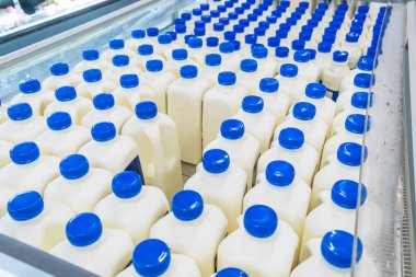 Süpermarkette soğutulmuş vitrinin içinde düzenli sıraya dizilmiş plastik taze süt şişeleri. Yiyecek dağıtımı, seri üretim ve markette tüketici seçimi. Süt endüstrisi ve perakende