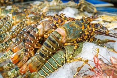 Süpermarketteki deniz ürünleri tezgahında ezilmiş buz üzerinde taze tropikal ıstakozlar sergileniyor. Tayland 'da bir marketin rafında dev karides soğuyor. Gıda alışverişi ve perakende.