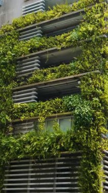 Duvarda yeşil bitkilerin büyüdüğü bir cephe. Tayland 'ın Bangkok şehrinde dikey bahçe. Çevre dostu şehir ortamı. Sürdürülebilir modern ve ekolojik mimari. Dikey yönelim.