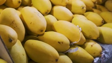 Bangkok, Tayland 'da satılık taze taze sarı mangolar. Sağlıklı beslenme, çiftlikten pazara ferahlık, egzotik meyveler ve Tayland veya Güneydoğu Asya gıda kültürü. Diyet yemek..