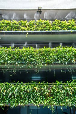 Otoparkın çok katlı ön cephesinde yeşil yapraklı dikey bahçe ve sisli sulama sürdürülebilir tasarımla Tayland 'ın Bangkok şehrindeki işlevsel kentsel mimarinin birleşimi. Kentsel soğutma