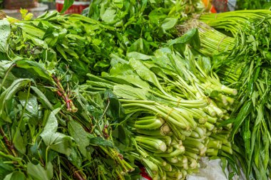Phuket, Tayland 'da düzgünce paketlenmiş taze yeşil yapraklı sebzeler, otlar ve yeşillikler sergileniyor. Tayland pazarında taze, organik ve sağlıklı yiyecekler..