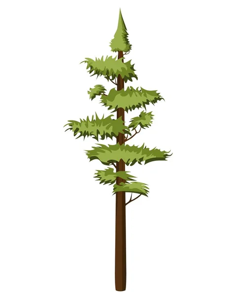 Grand Pin Dans Style Réaliste Épinette Résineuse Forêt Feuillage Persistant — Image vectorielle