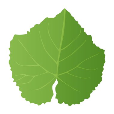 Yeşil Yaprak gerçekçi bir şekilde. Sonbahar yaprağı. Beyaz arkaplanda izole edilmiş renkli illüstrasyon.