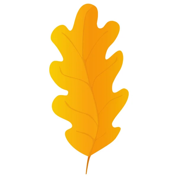 Oak Leaf Realistickém Stylu Podzimní List Barevné Ilustrace Izolované Bílém — Stock fotografie
