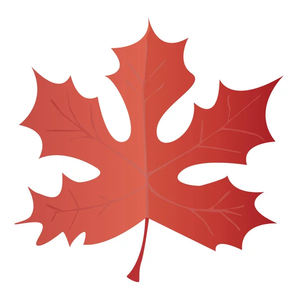 Maple Red Leaf Realistickém Stylu Podzimní List Barevné Ilustrace Izolované — Stock fotografie