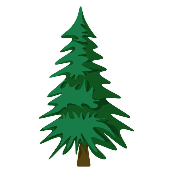 Green pine in cartoon style. Forest traditional tree. Colorful illustration isolated on white background.