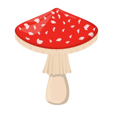 Sinek mantarı. Yenilebilir organik mantarlar. Yer mantarı kahverengi şapka. Orman mantarı tipleri. Beyaz arkaplanda izole edilmiş renkli illüstrasyon.