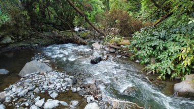Azores Sao Miguel 'in insansız hava aracı manzarası. Yüksek kalite fotoğraf