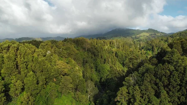 Drone landscape view of Sao Miguel, Azores. High quality photo
