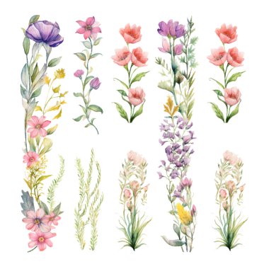 Bir dizi güzel el çizimi suluboya çiçekler.