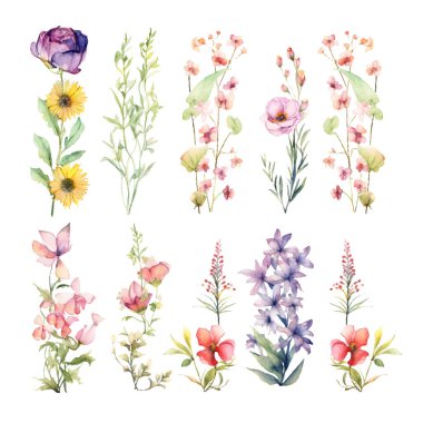 suluboya yaz çiçekleri, yapraklar ve dallarla kaplı.