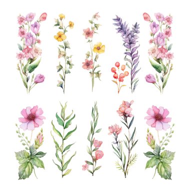 Suluboya çiçek seti