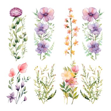 suluboya çiçek öğeleri kümesi.