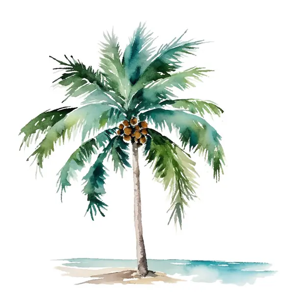 Palmiye yapraklı tropikal ağaç