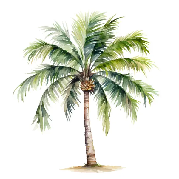 Beyaz arkaplanda yalıtılmış palmiye ağaçları, suluboya resimleme