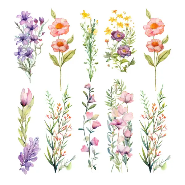 Bir dizi suluboya el boyası çiçek elementleri.