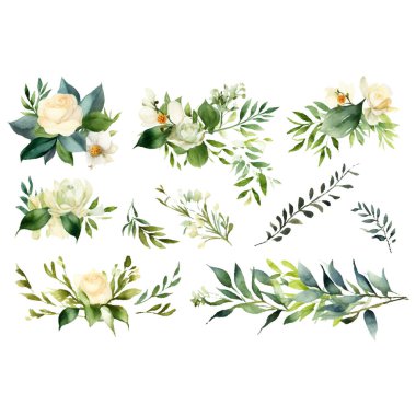 Okaliptüs dalları, okaliptüs yaprakları ve okaliptüs dallarıyla suluboya çiçek seti. yapraklı okaliptüs dalları, okaliptüs dalları ve dalları.