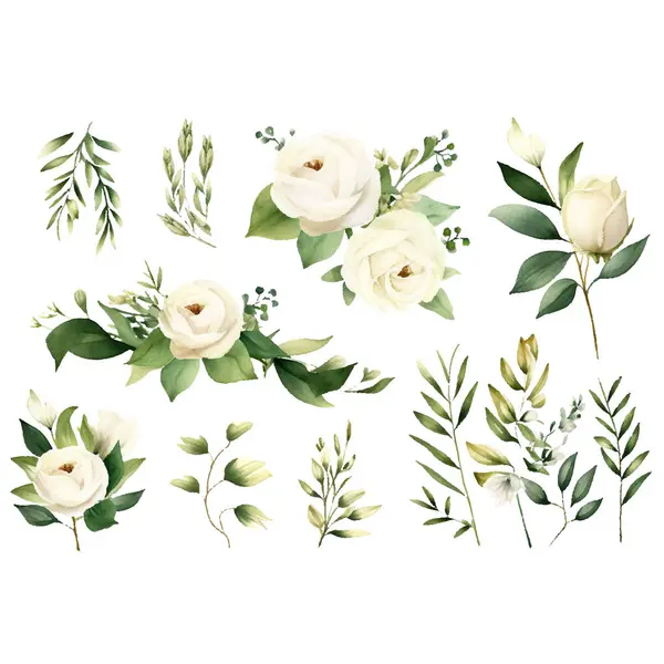 Suluboya çiçek seti. vektör illüstrasyonu