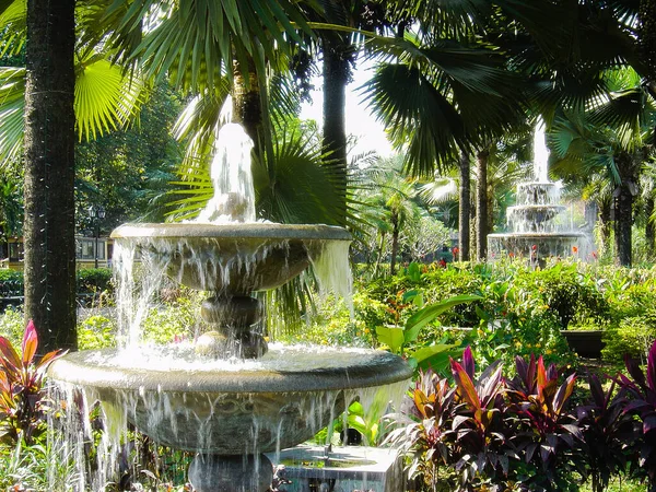 Water fountain garden with tropical landscape scenery has palm trees and colorful bushes daytime in public outdoors