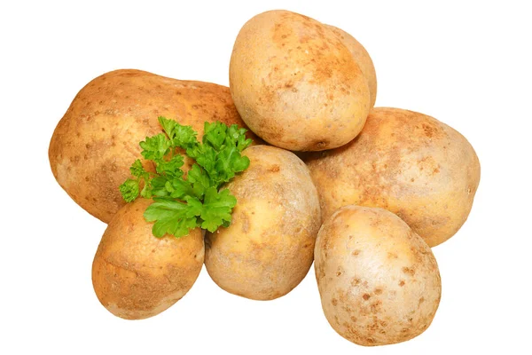 Batatas Sem Fundo Grupo Batatas Cruas — Fotografia de Stock