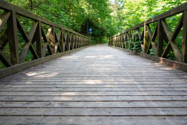 Ormandaki tahta köprü. Vahşi parktaki yayalar ve motorcular için köprü.