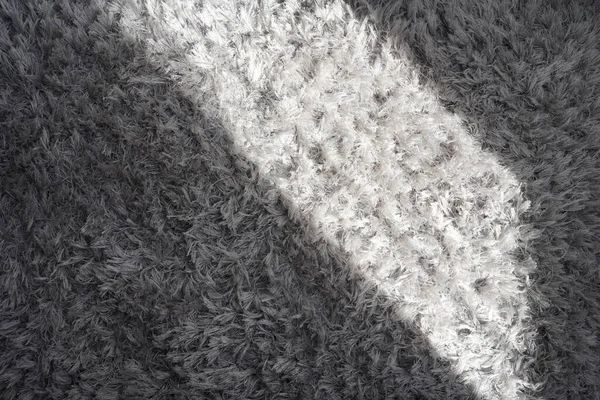 Pamuk gri halıda güneş ışığı. Gri halı arka planı. Arkaplanda güneş ışığı.