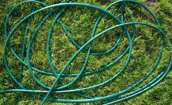 Çimlerin üzerinde bahçe hortumu. Bahçe teması. Bahçe çimenleri ve hortum arka planı. Bahçe deseni.