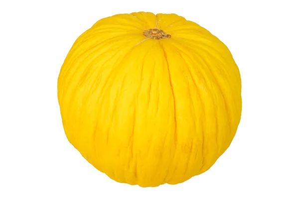 Żółta Dynia Bez Tła Jesienna Jesienna Dekoracja — Zdjęcie stockowe