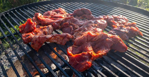 Grilling Chine Bbq Garden Grilling Huge Steaks — Stock Photo, Image