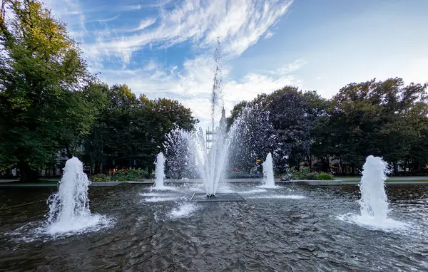Norveç, Oslo 'daki parkta büyük bir çeşme var..