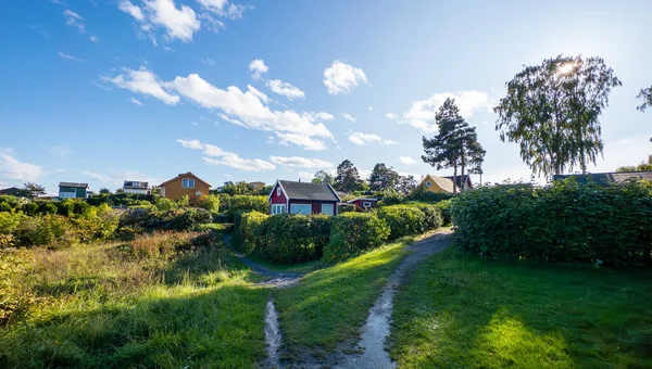 Norveç, Oslo 'daki adada renkli evler. Oslo gezisi.