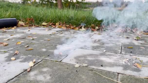 花火か スパークリング効果のあるグラウンドスピナー 地上にいる消防士 — ストック動画