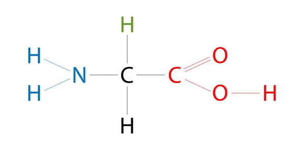 甘氨酸的结构 甘氨酸是一种氨基酸 其侧链只有一个氢原子 — 图库照片