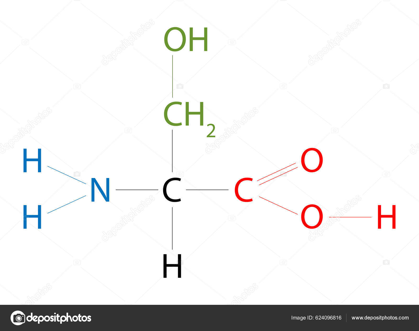 Structure Serine Serine Amino Acid Has Side Chain Consisting Hydroxymethyl  Stock Photo by ©AStepBioMed 624096816