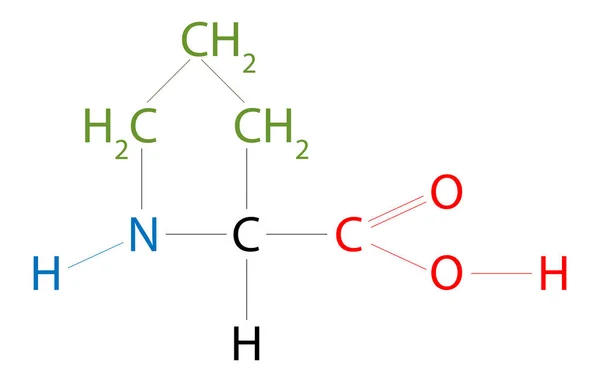 Struktura Proline Prolina Jest Kwasem Organicznym Klasyfikowanym Jako Aminokwas Proteinogenny — Zdjęcie stockowe