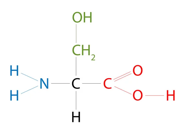 Die Struktur Von Serine Serin Ist Eine Aminosäure Deren Seitenkette — Stockfoto